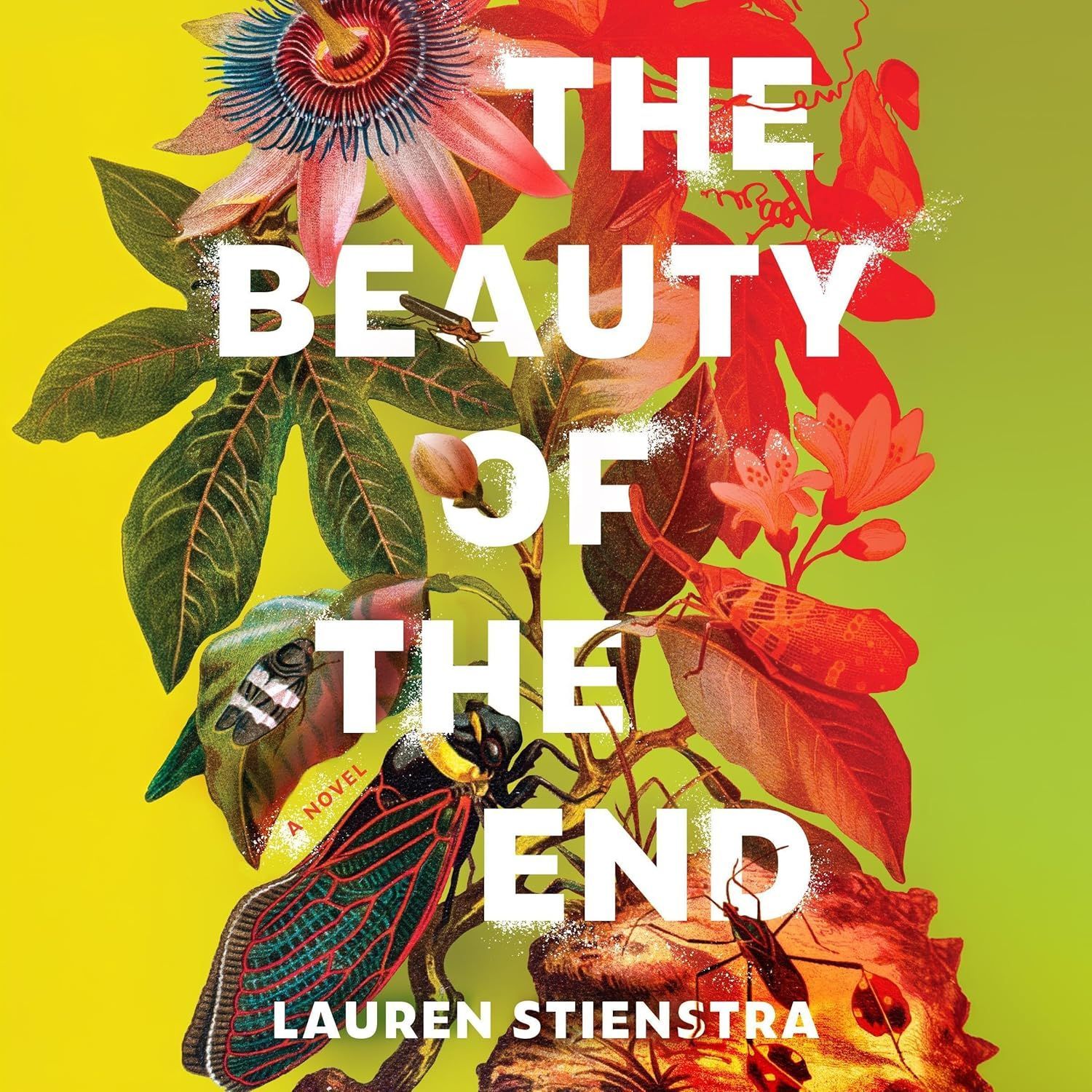 A book called the beauty of the end by lauren stienstra, narrated by erika leonguerrero