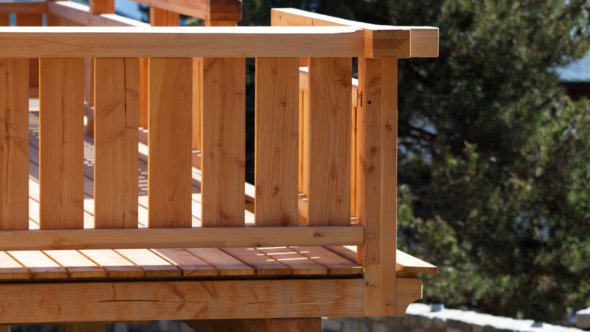 Terrasse en bois avec garde-corps, baignée de soleil, avec un arrière-plan d'arbre flou.