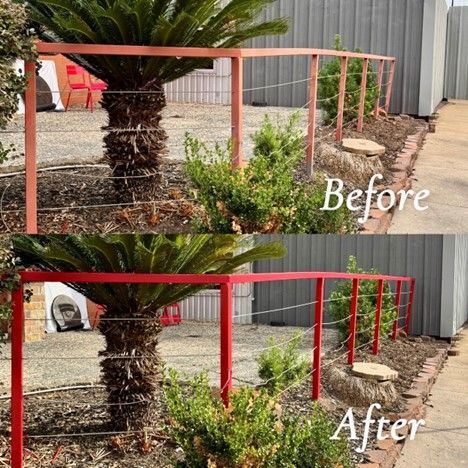 A Before And After Picture Of A Red Fence Around A Palm Tree - Spring, TX - DJ's Painting