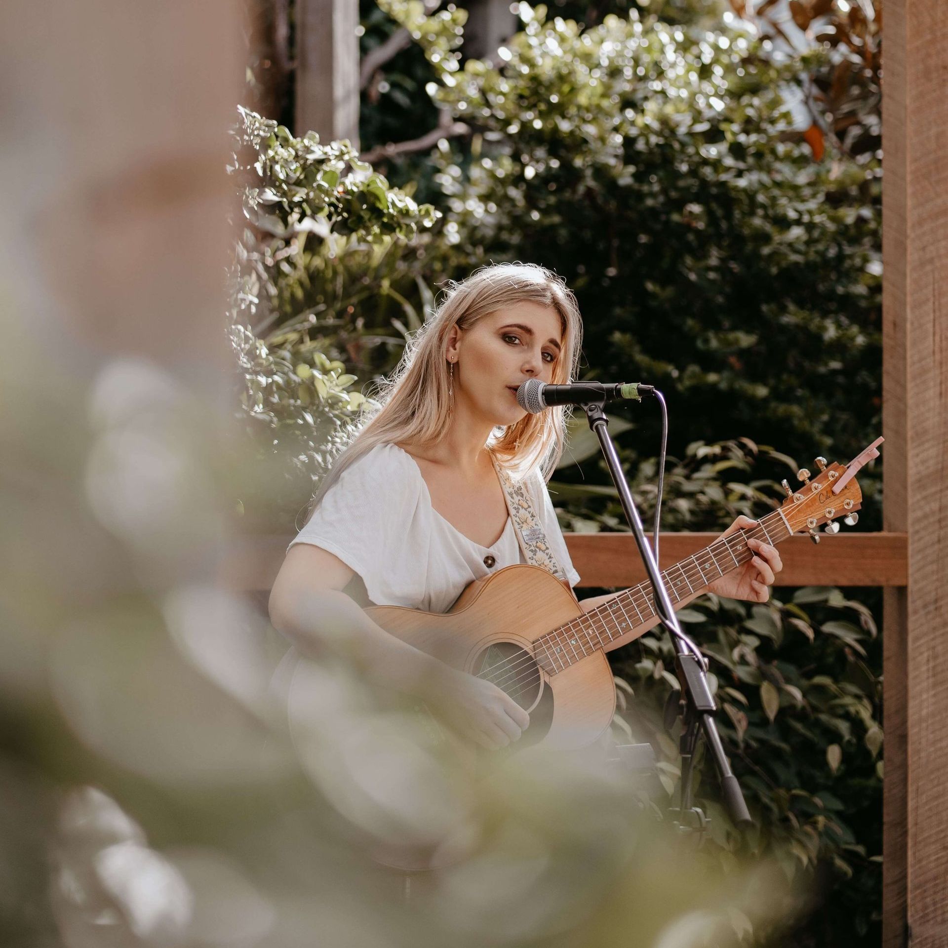 Acoustic musicians darwin