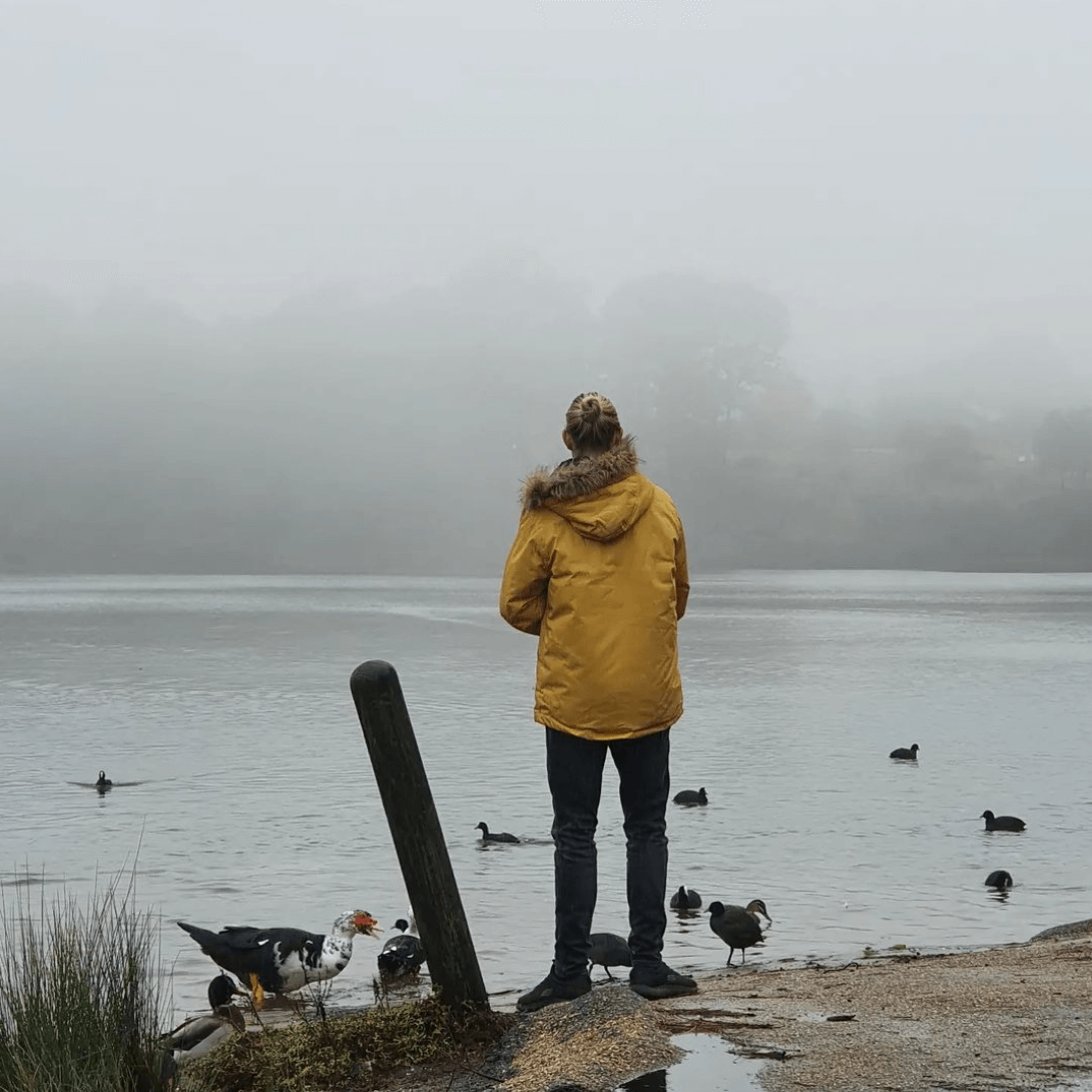 Person in yellow jacket by foggy lake, ducks nearby.