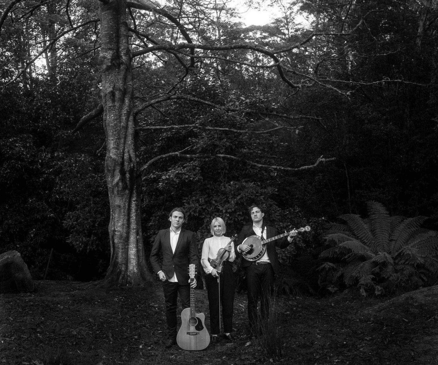 the foley artists live band tasmania