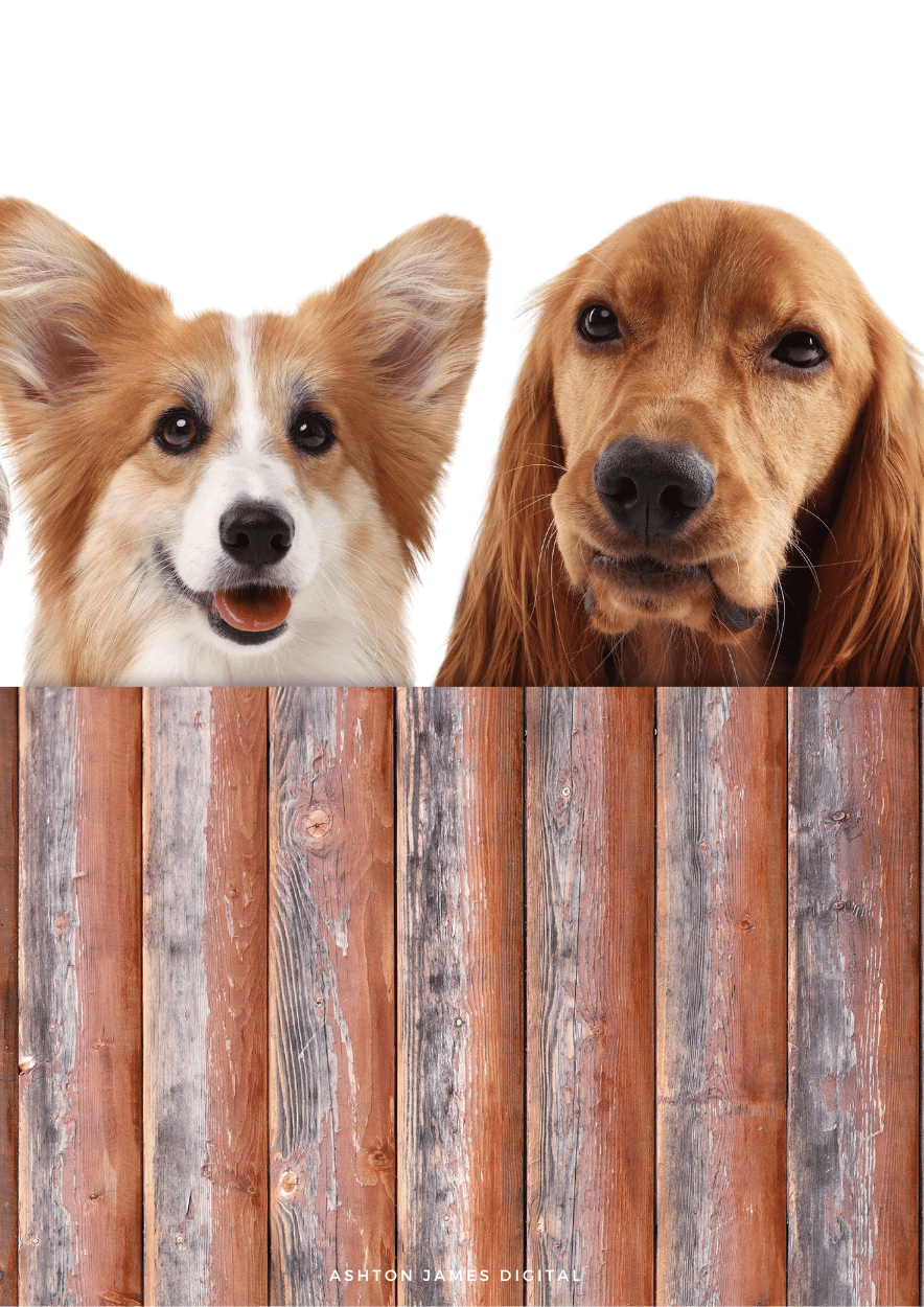 dog fences peoria il