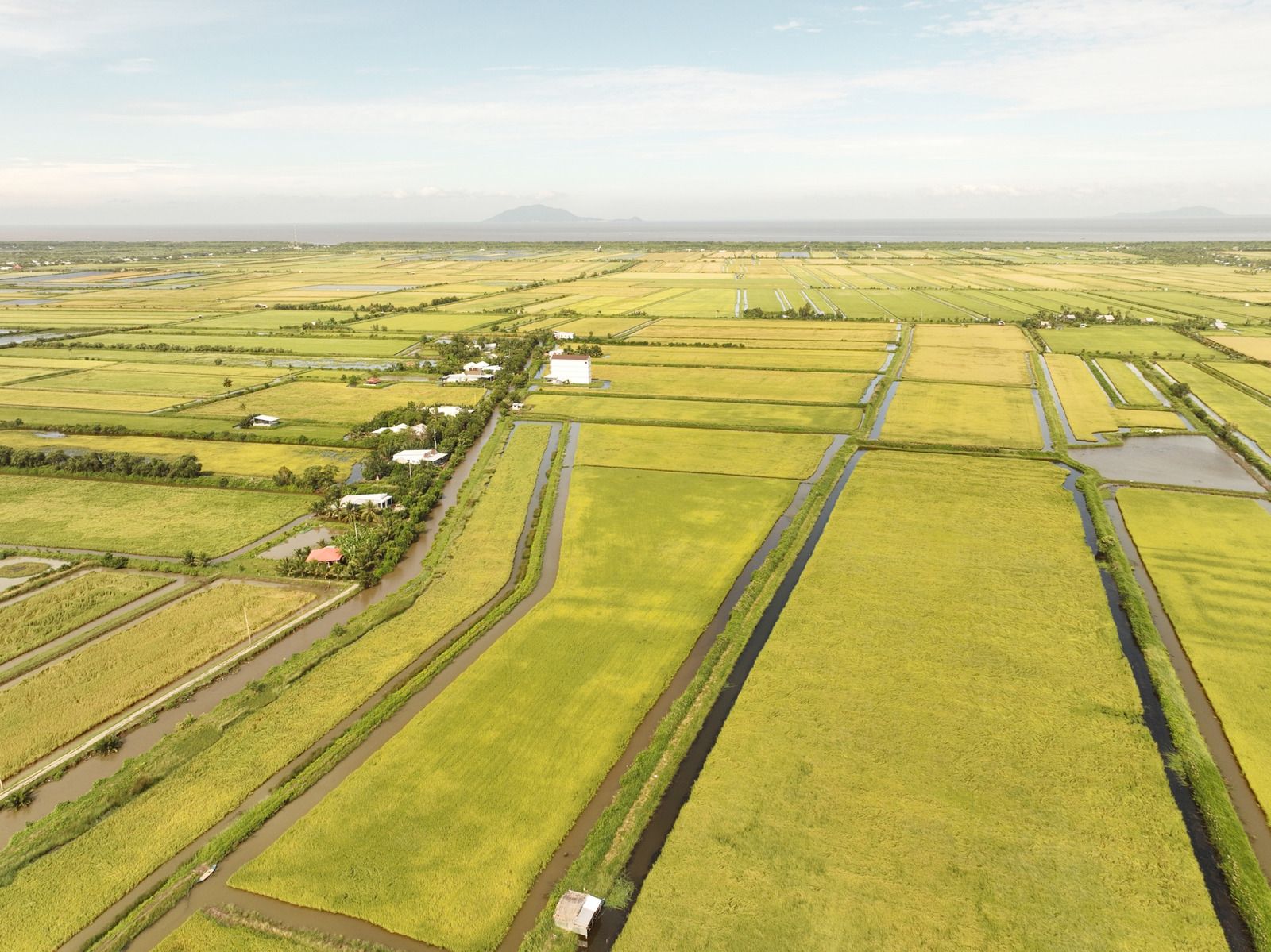 Row of black oil barrels labeled “OIL” increasing in size beneath a rising red line graph