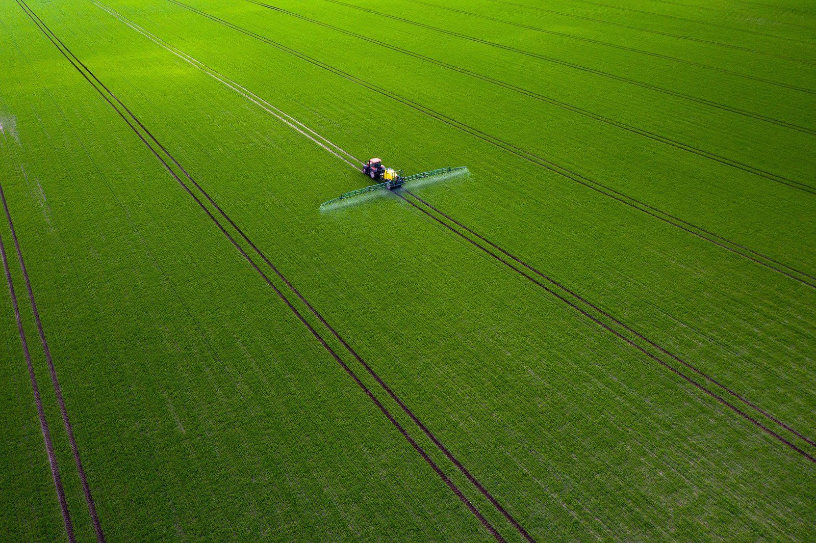 Smiling woman with short dark hair wearing a black top against a beige background