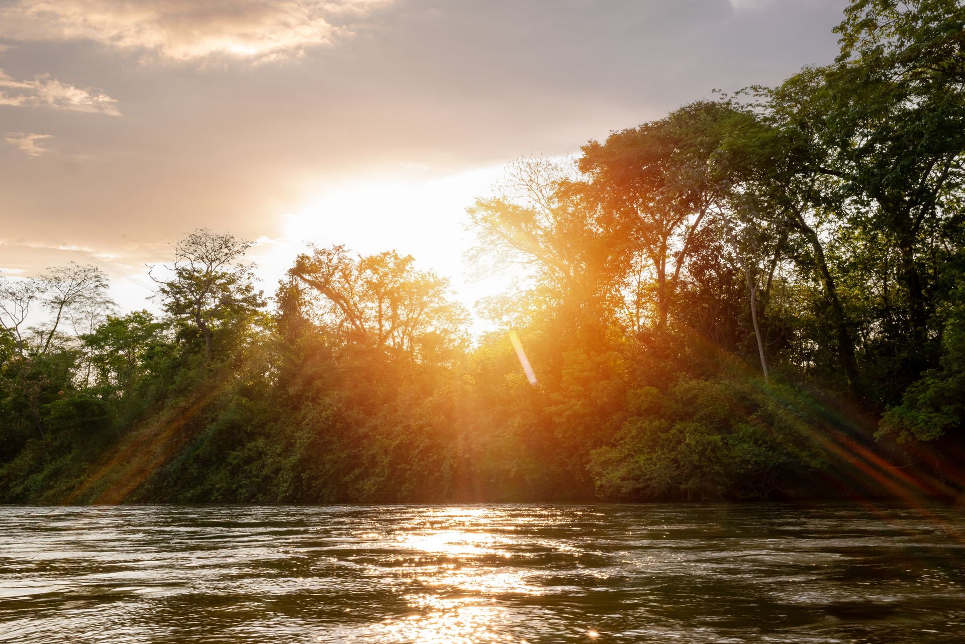 O sol está brilhando através das árvores ao longo de um rio.