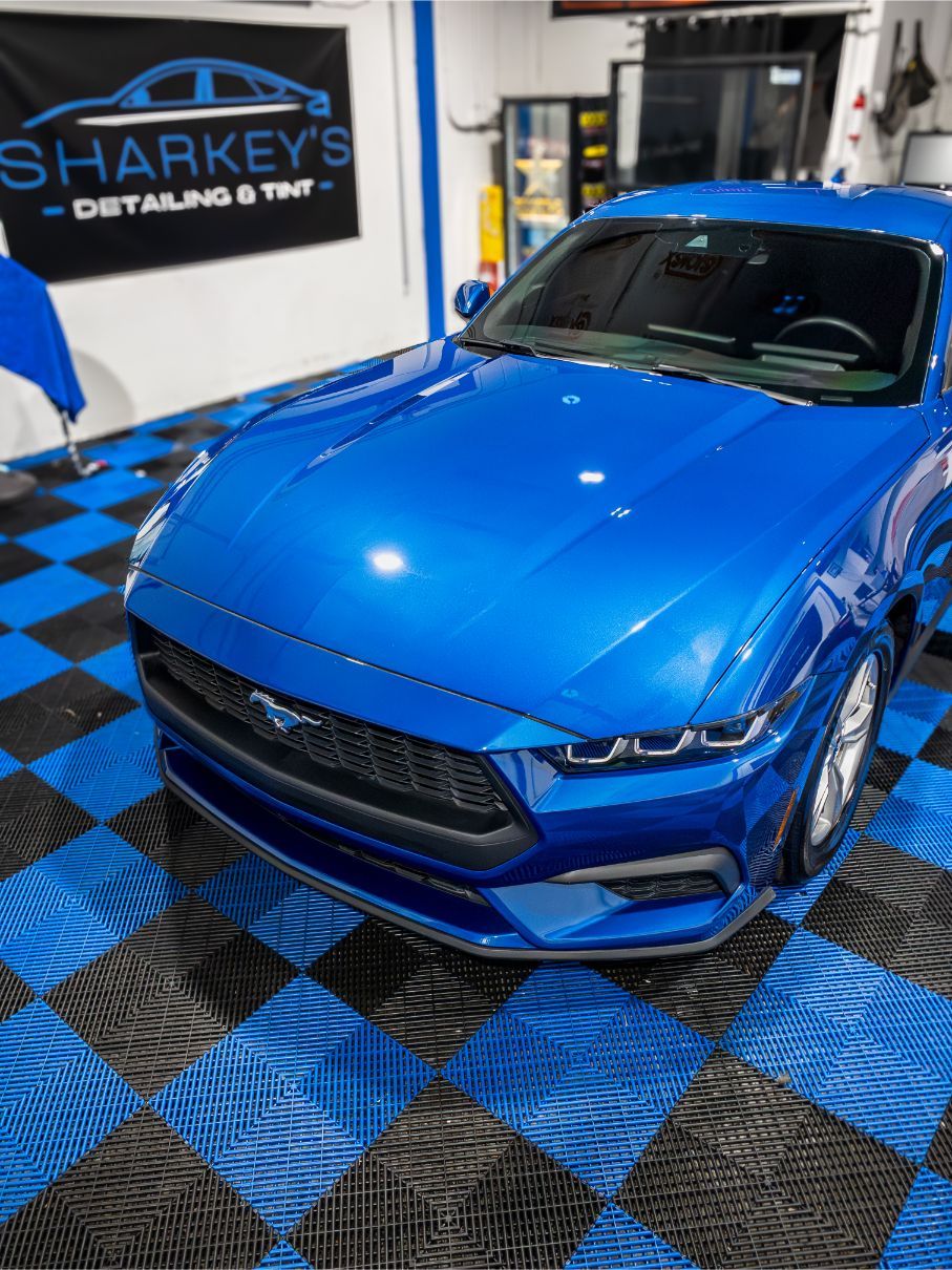 paint correction sarasota