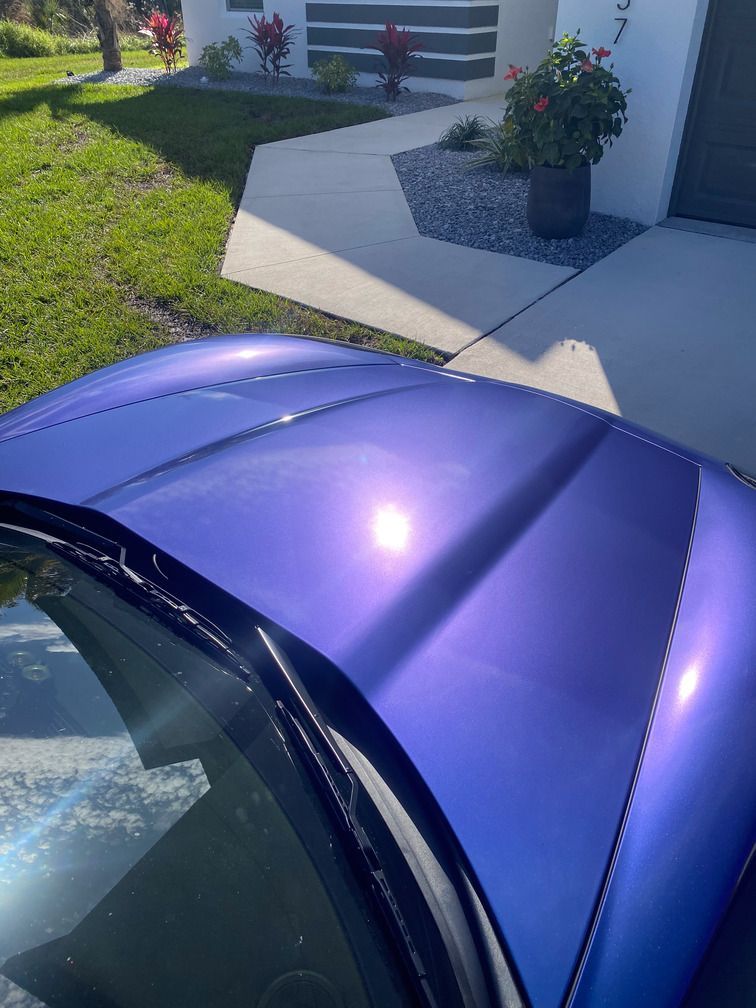 corvette vinyl wrapped in sarasota