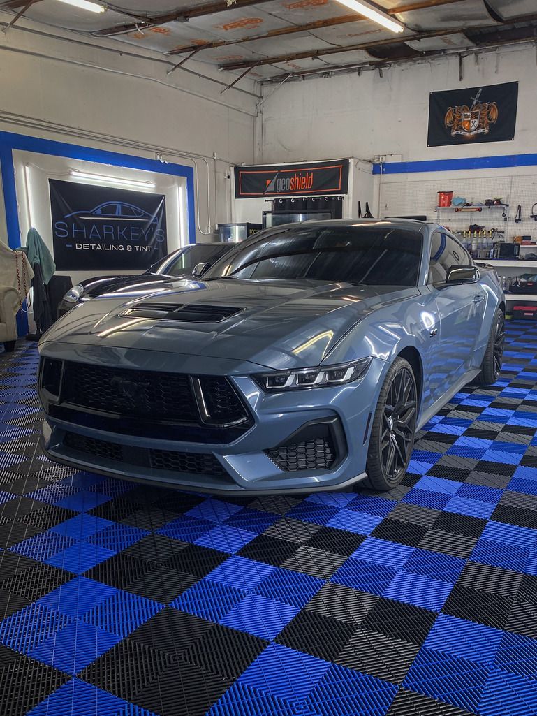 mustang ceramic coating sarasota