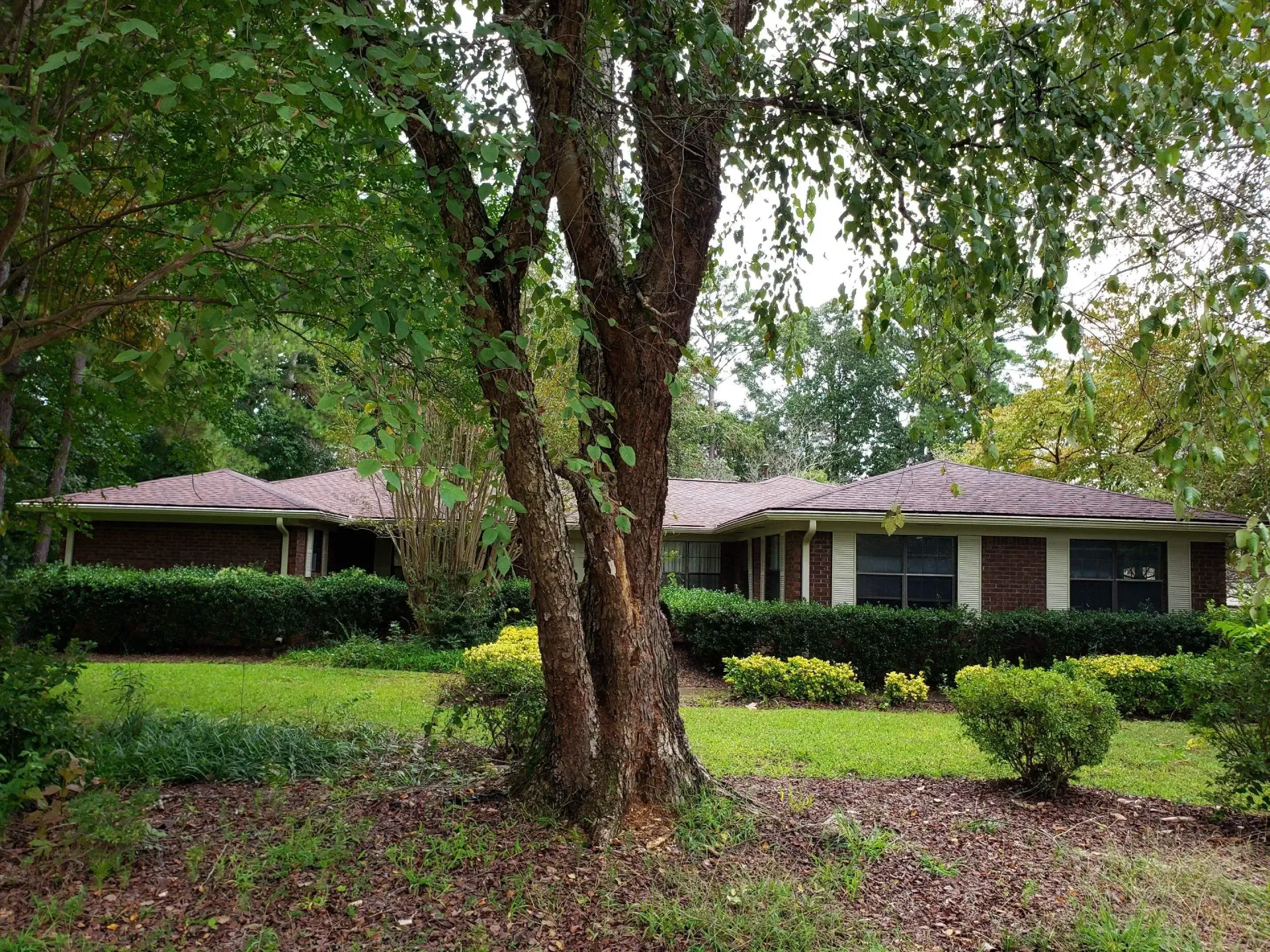 A single-story brick house with brown roof, framed by trees, in a yard with green grass and bushes.
