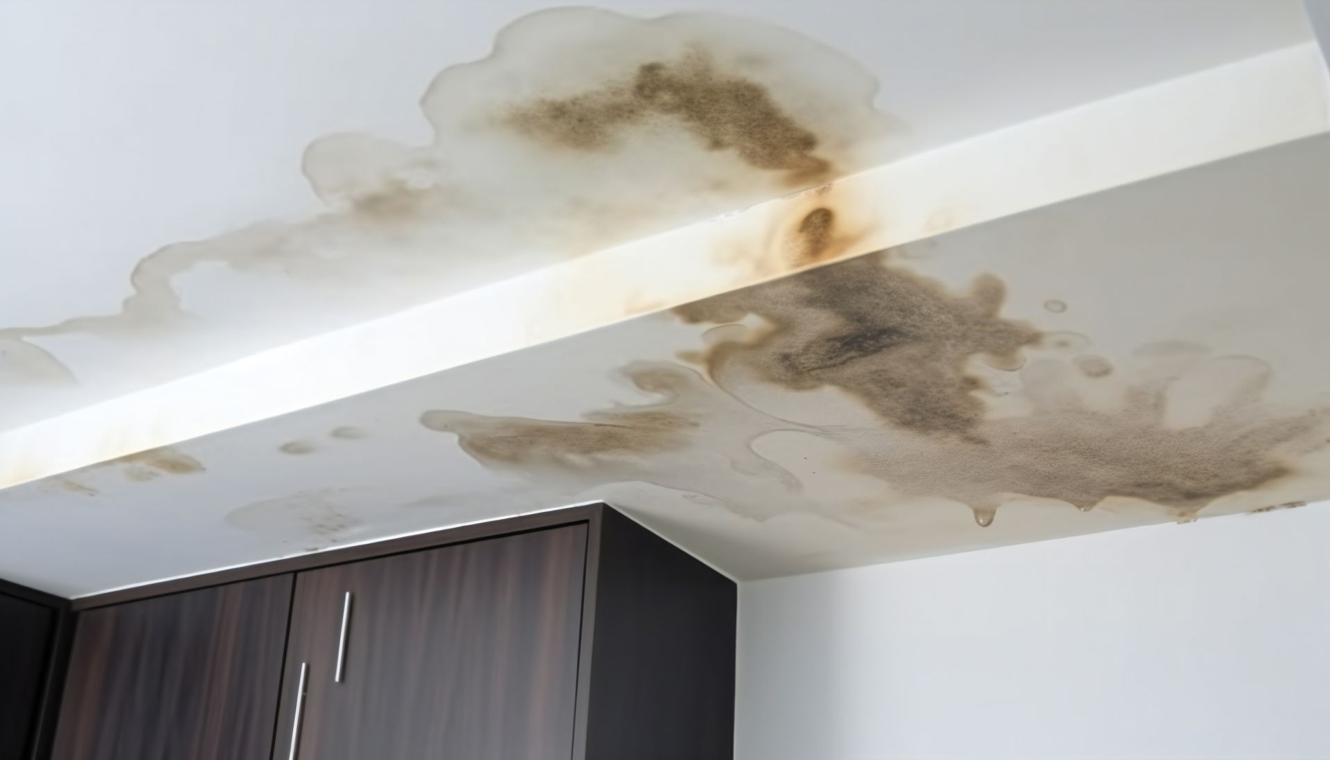 Water Damage Solution