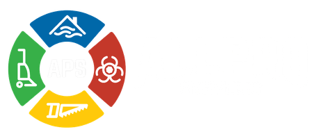 All Pro Services logo