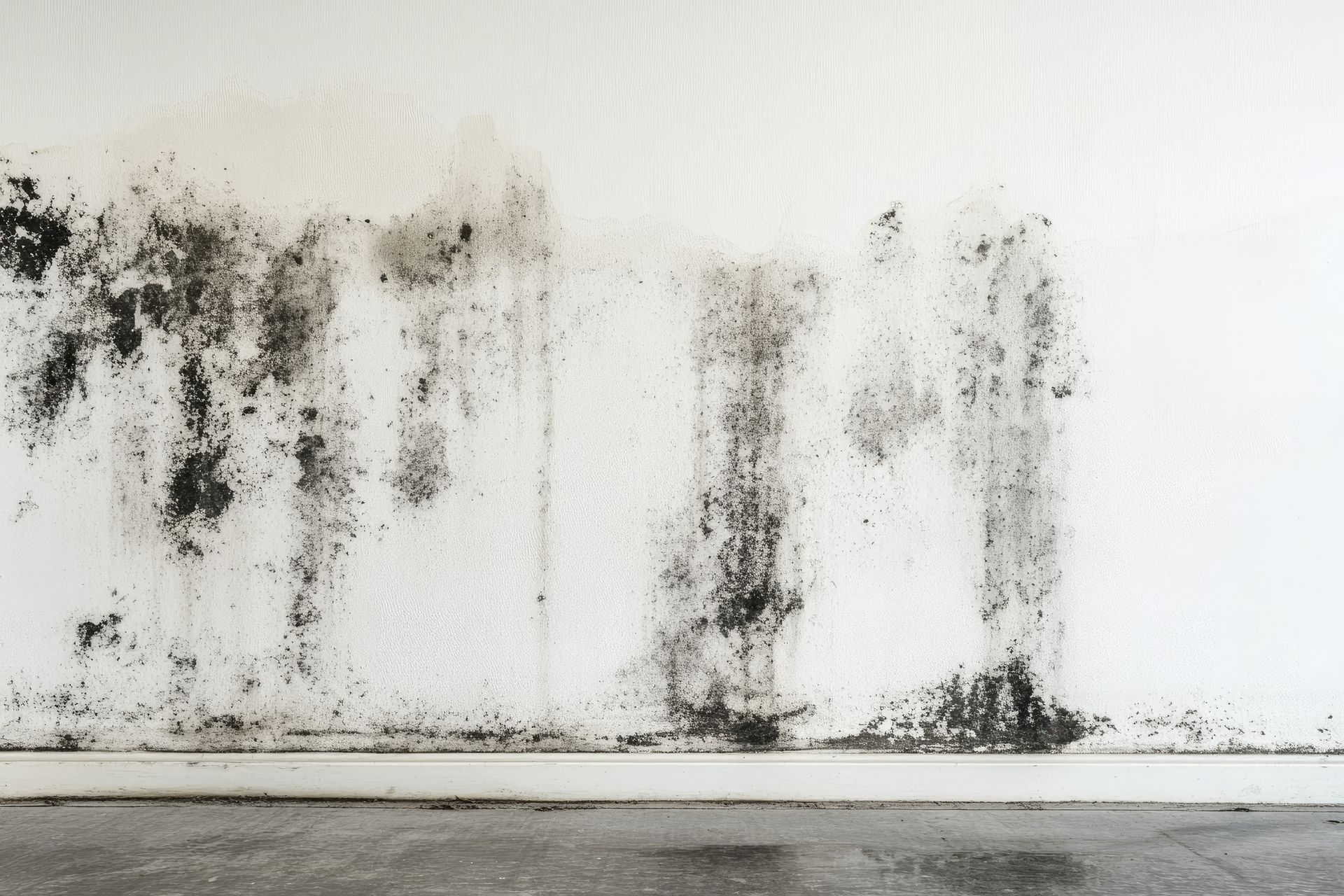 Water Damage Remediation Salt Lake City