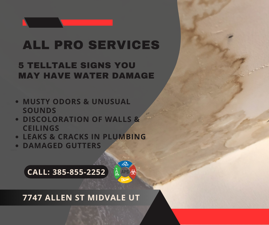 All Pro Services water damage restoration Midvale experts article on 5 signs you might have water damage