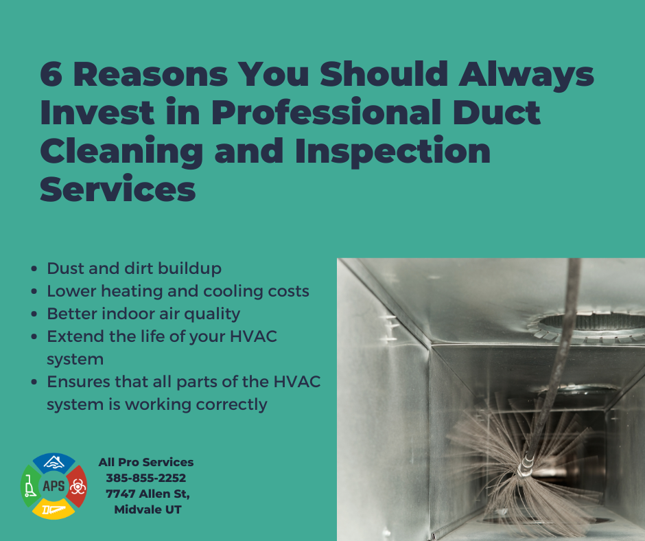 6 Reasons You Should Always Invest in Professional Duct Cleaning and Inspection Services