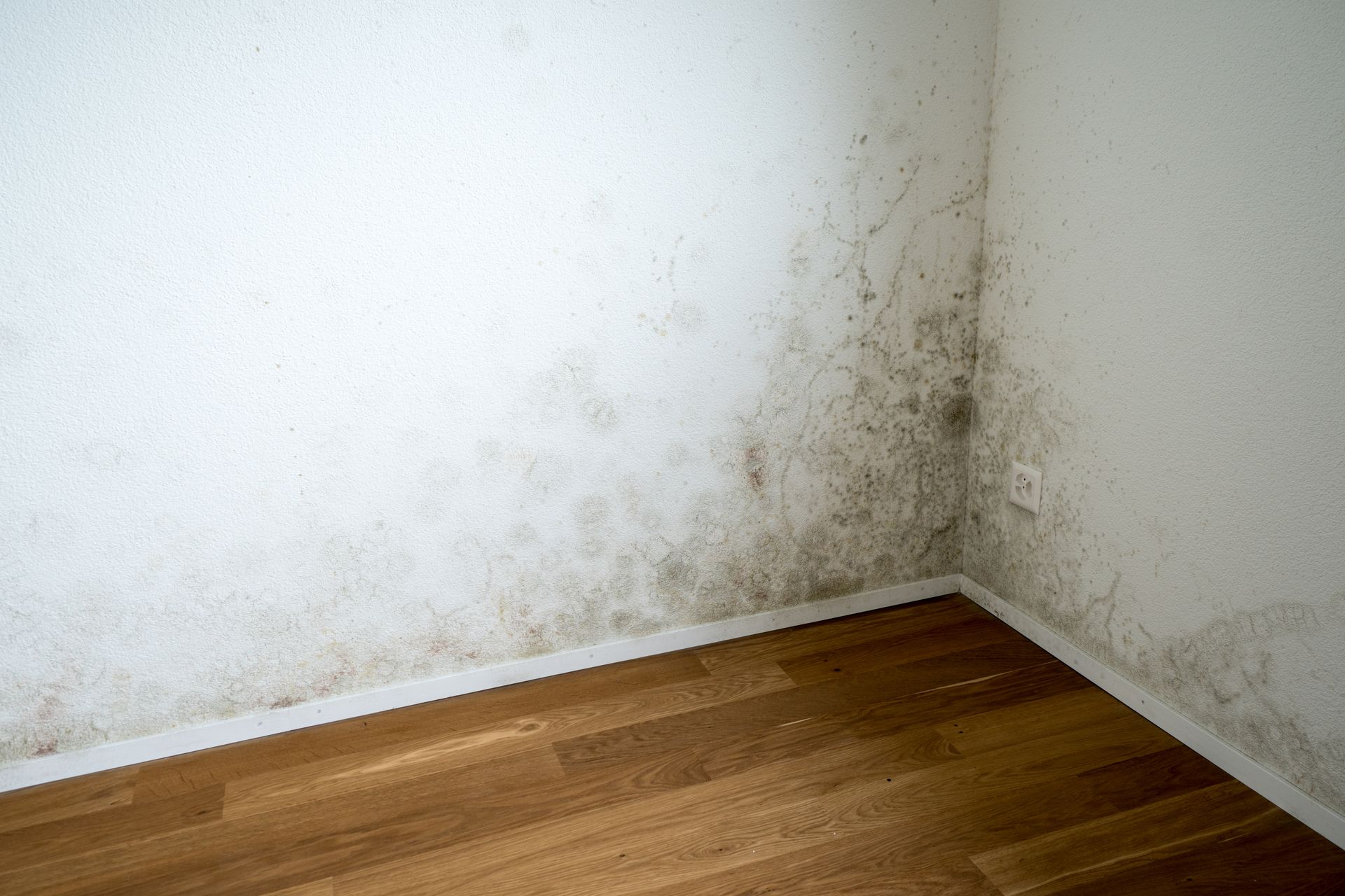 Water Damage Remediation Salt Lake City