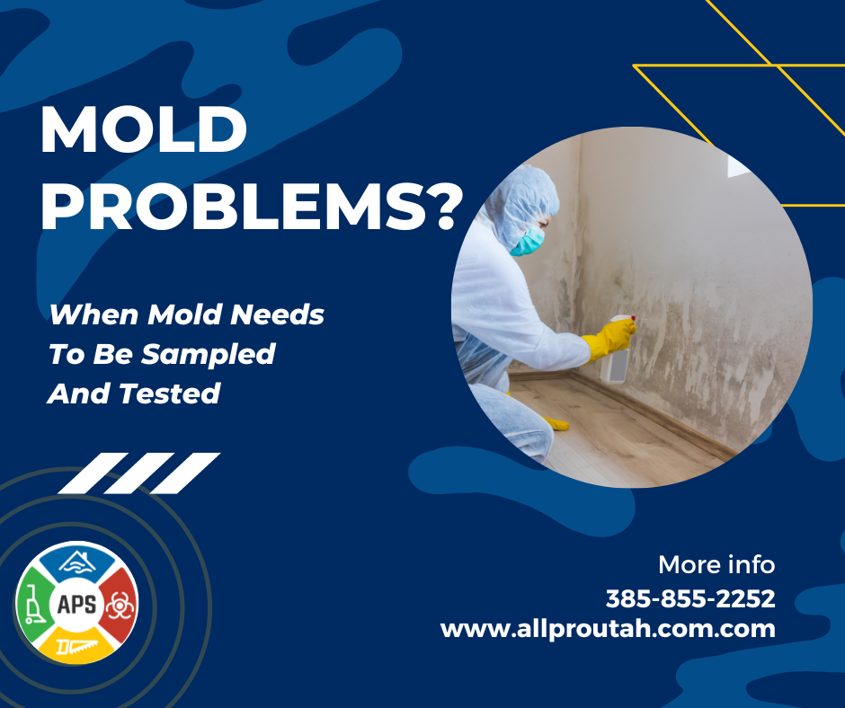 All Pro Services on when to test and sample mold