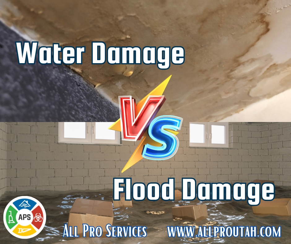 Flood Damage vs. Water Damage: Understanding the Difference All Pro Blog