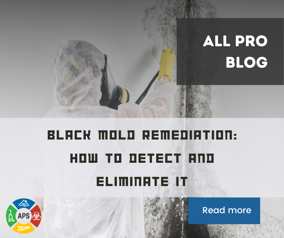 Learn how to detect and eliminate black mold in our latest blog article