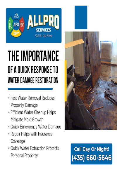 All Pro Services on the importance of quick response to water damage restoration Salt Lake City