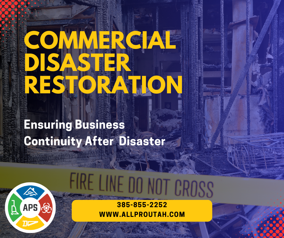 All Pro Services on Commercial Disaster Restoration & Business Continuity after disaster