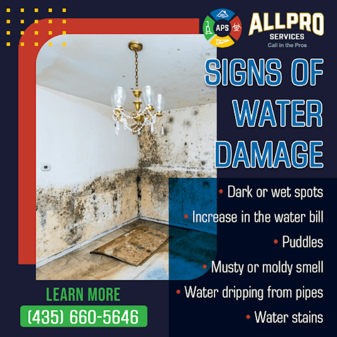 All Pro Services on Signs of Water Damage