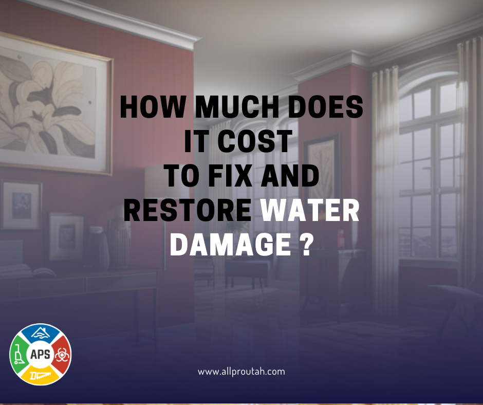 How much does water damage cost? Find out in All Pro Services latest blog