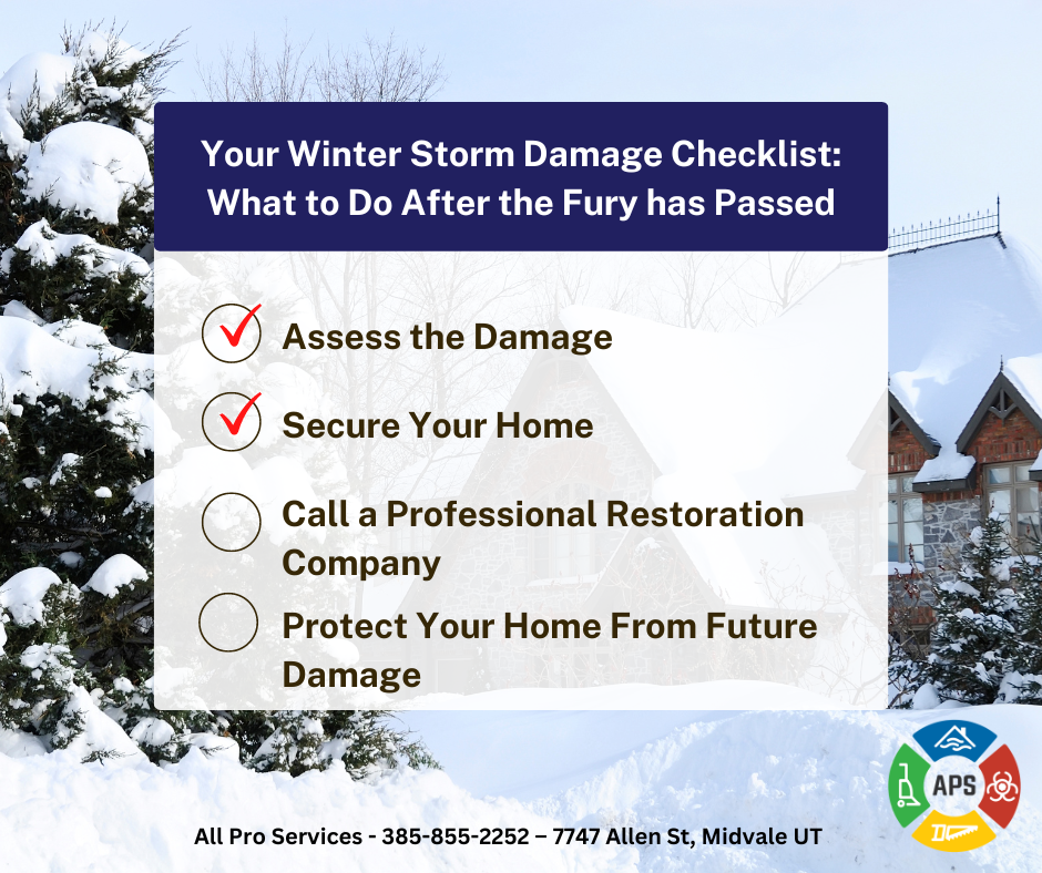 All Pro Services on what to do when you have winter storm damage