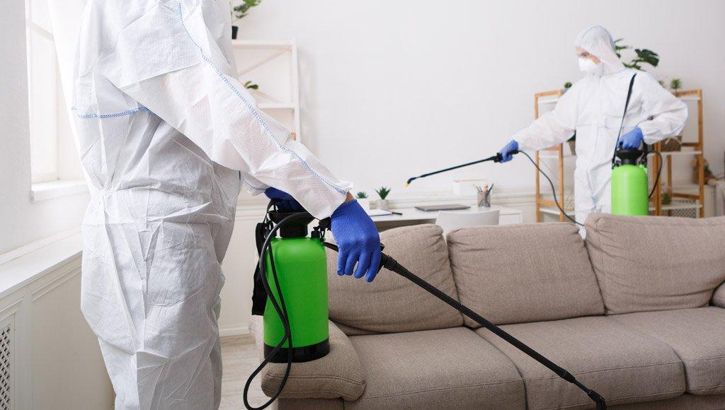 All Pro Services specializes in things such as mold removal salt lake city.