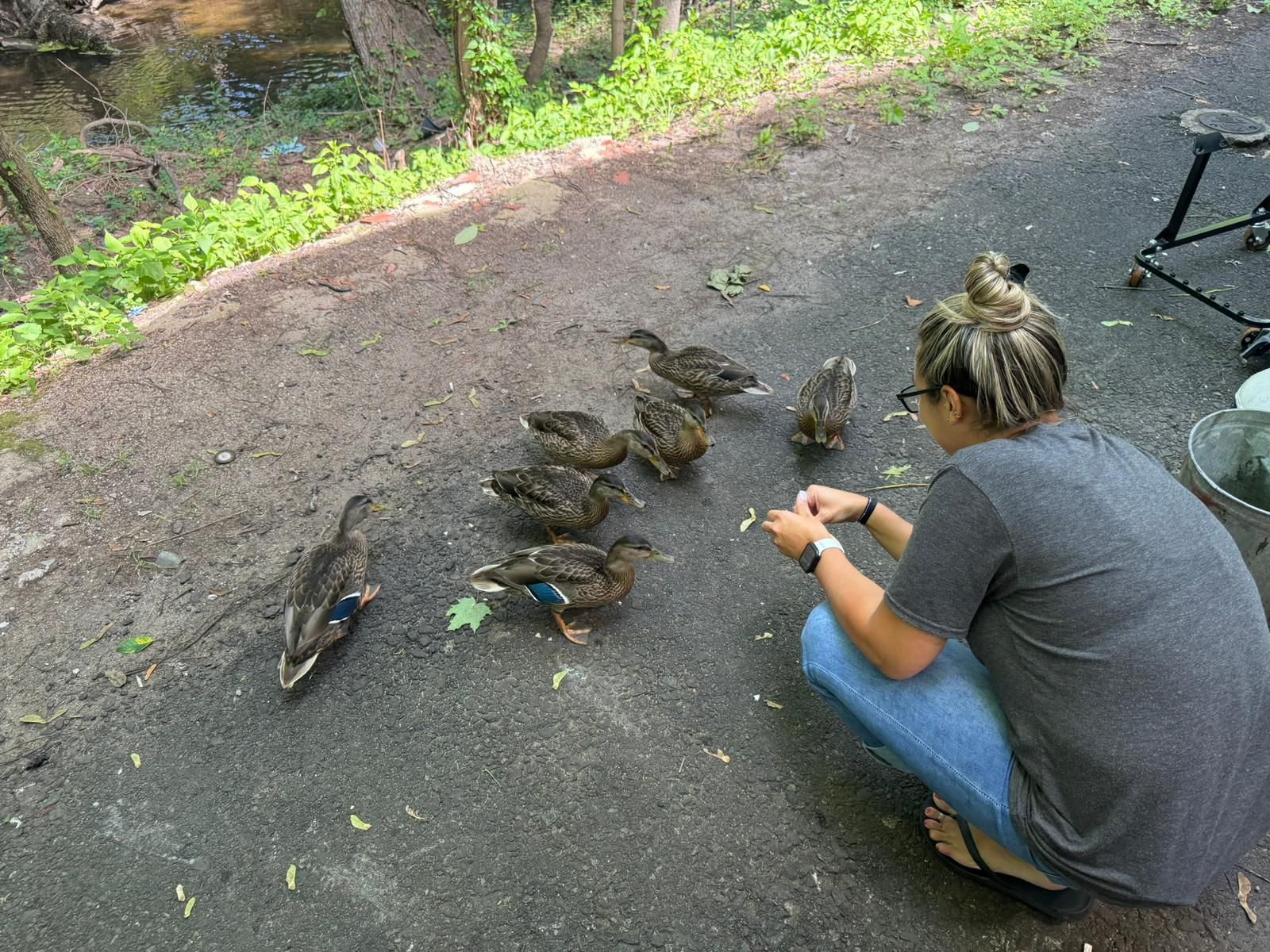 Woman feeding ducks outdoors.