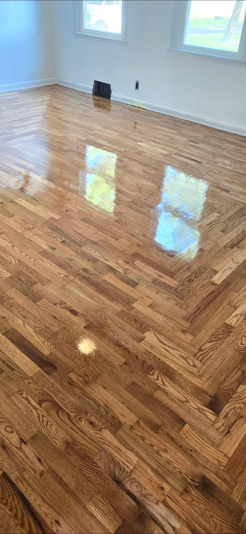 Newly finished, glossy light-brown hardwood floors laid in a herringbone pattern inside a sunlit room with two windows.