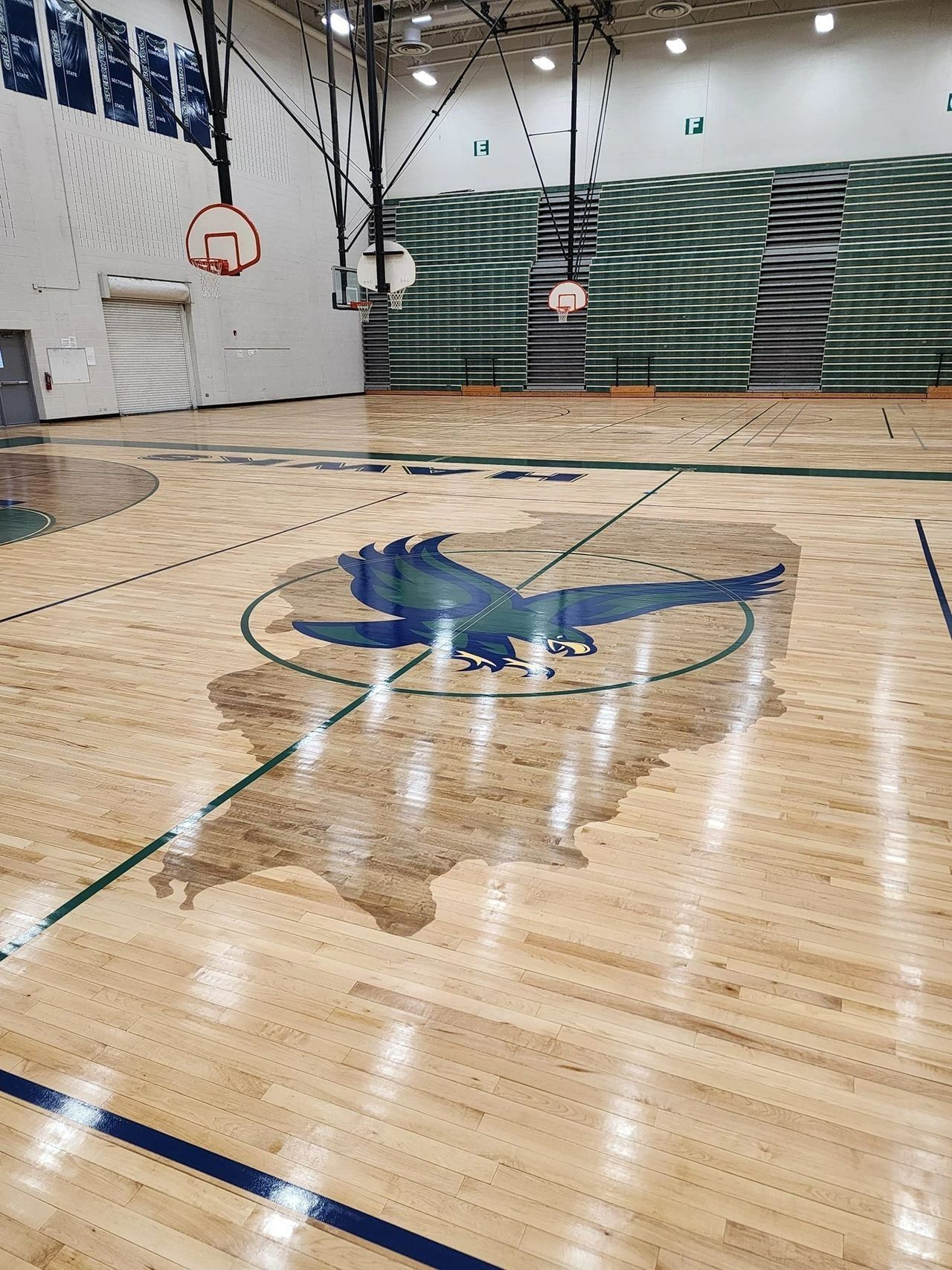 An indoor basketball court with a large eagle logo on the wooden floor and bleachers in the background.
