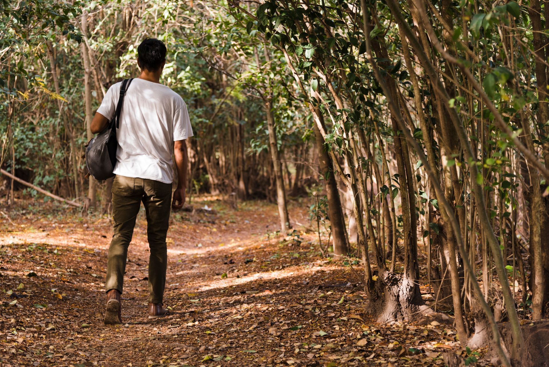 A man is walking down a path in the woods.