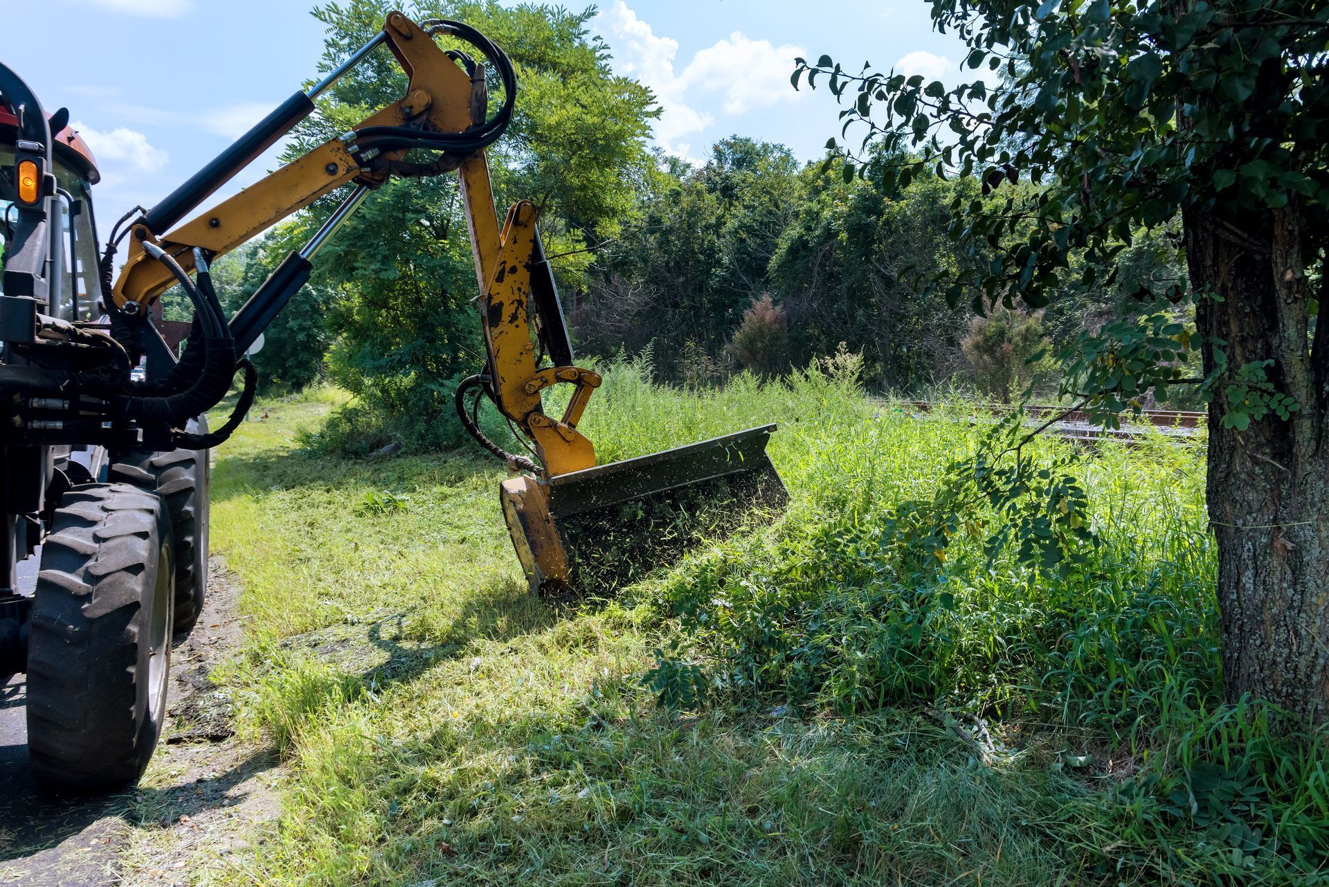 A tractor is cutting grass in a field next to a tree.