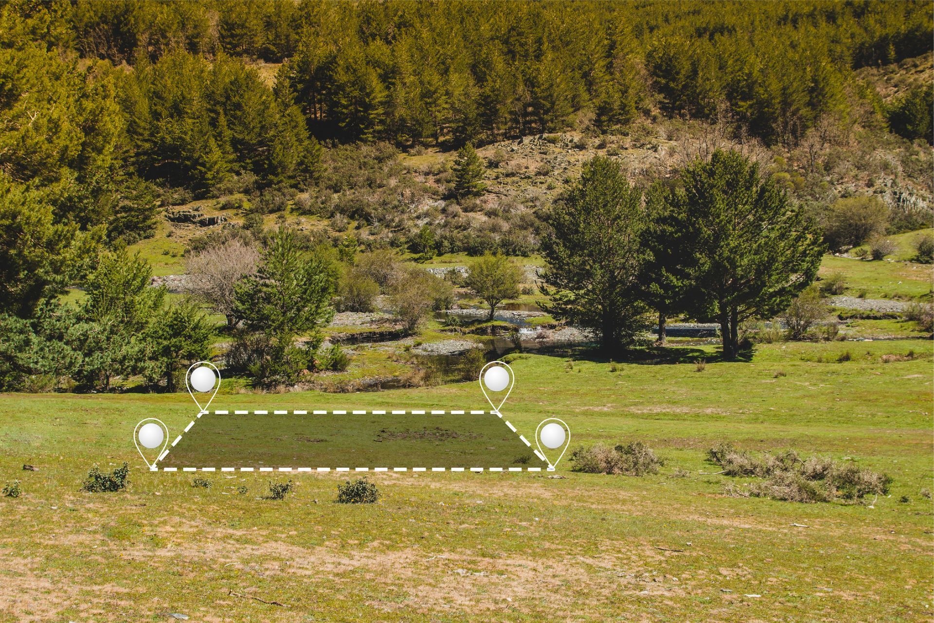 A drawing of a field with trees in the background.