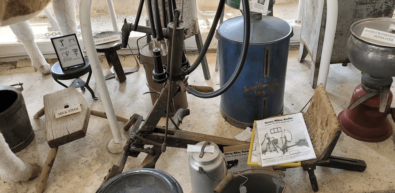 Rare Hand Milker for milking cows