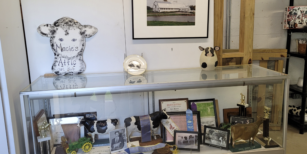 Award case to the left of the craft room displaying Eddie Burdette awards