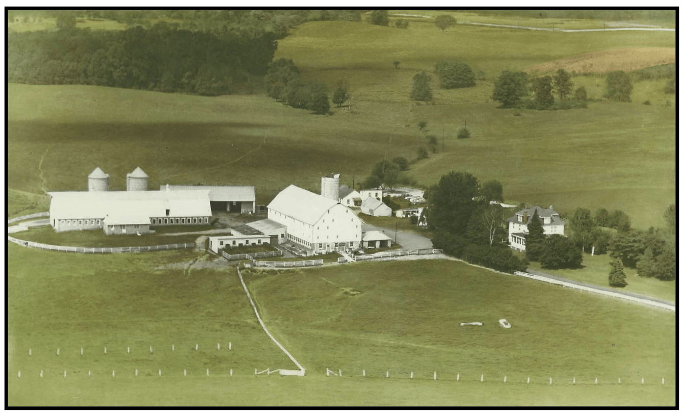 James and Macie's King Farm in the 1960s 