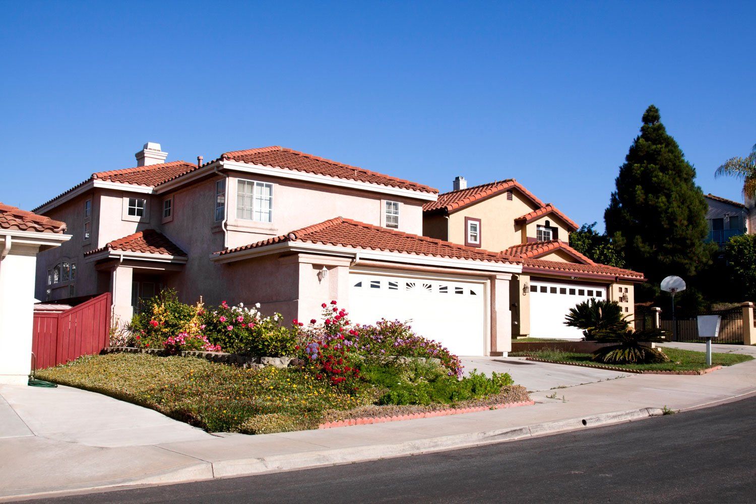 Different Flowers On Garden — Royal Oaks, CA — Hubbell Landscaping