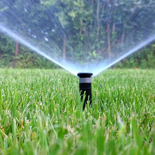 Garden Sprinkler — Royal Oaks, CA — Hubbell Landscaping