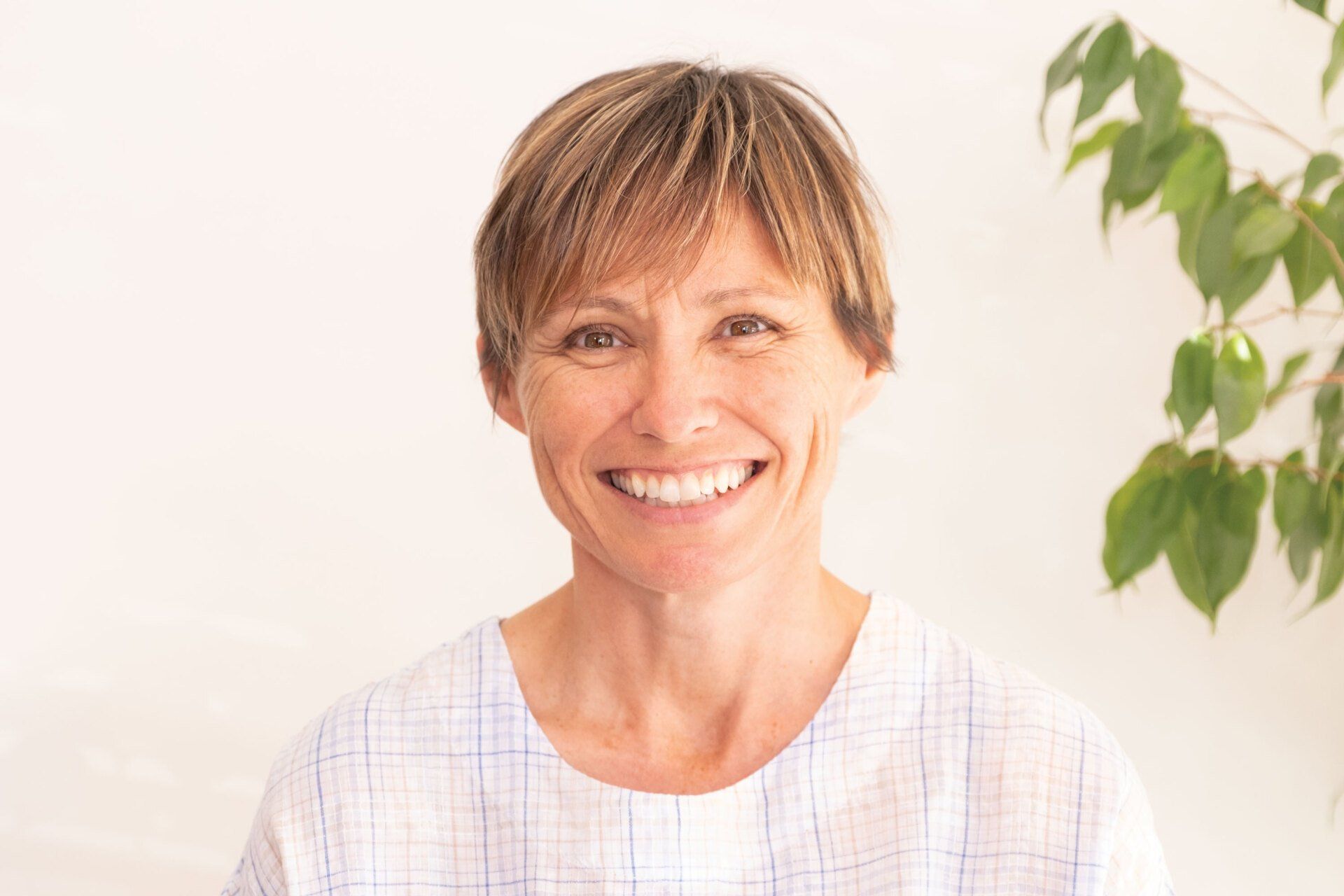 Acupuncture, Massage & Reiki Koru Healing, Christchurch