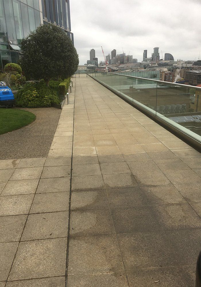 before and after cleaning exterior stone path