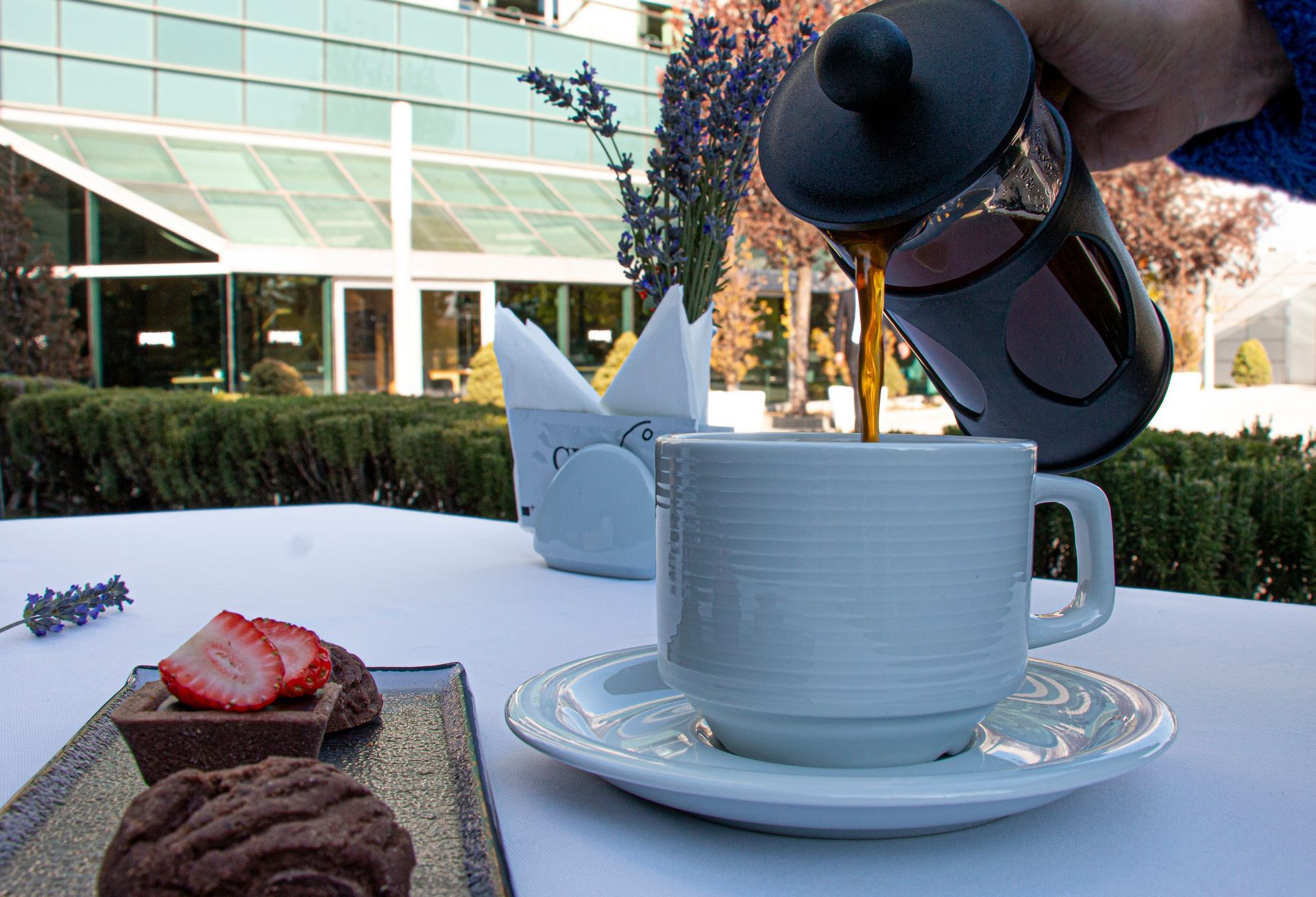A person pouring a cup of coffee from a french press