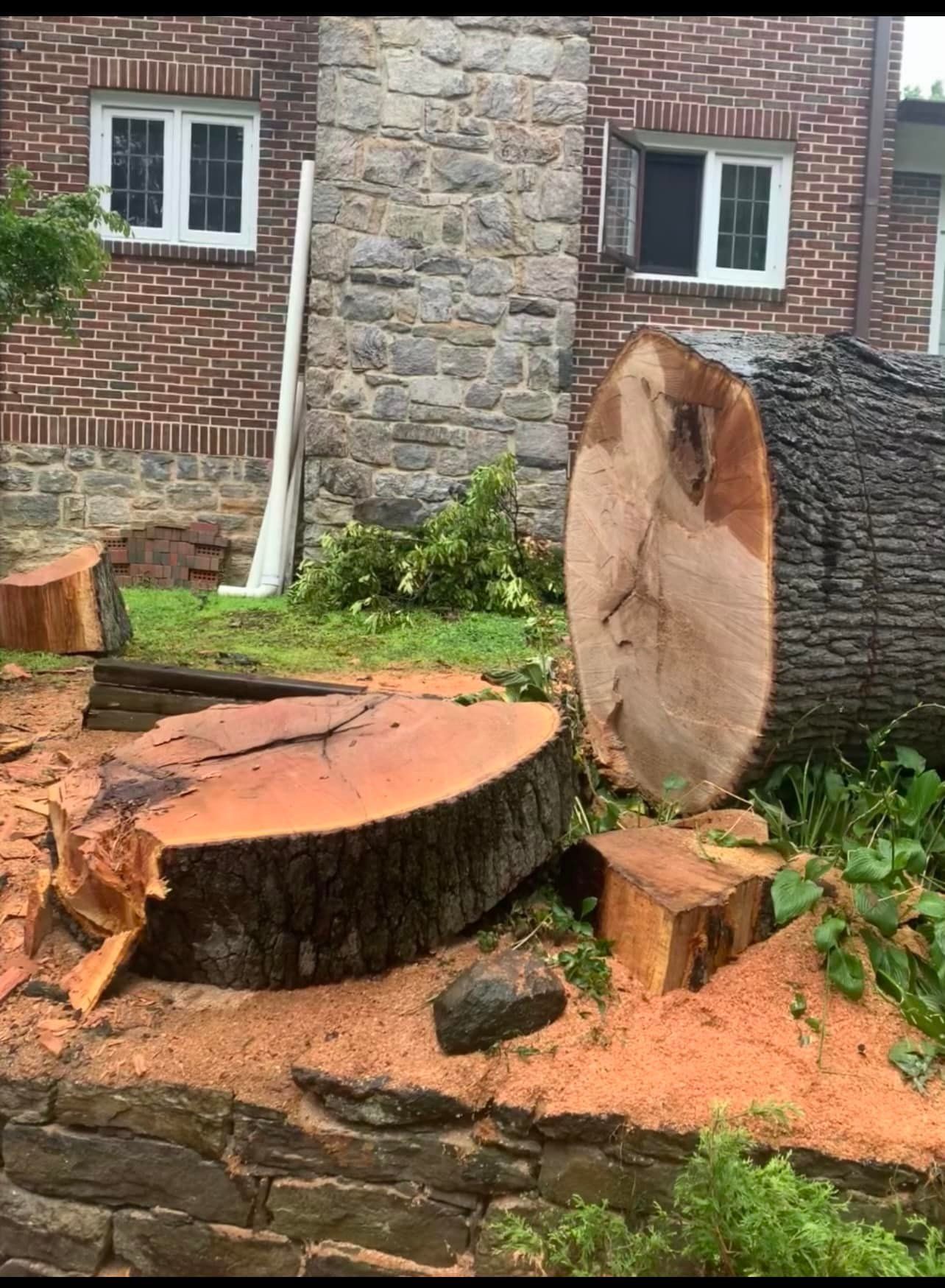 A large tree stump is sitting in front of a brick building.