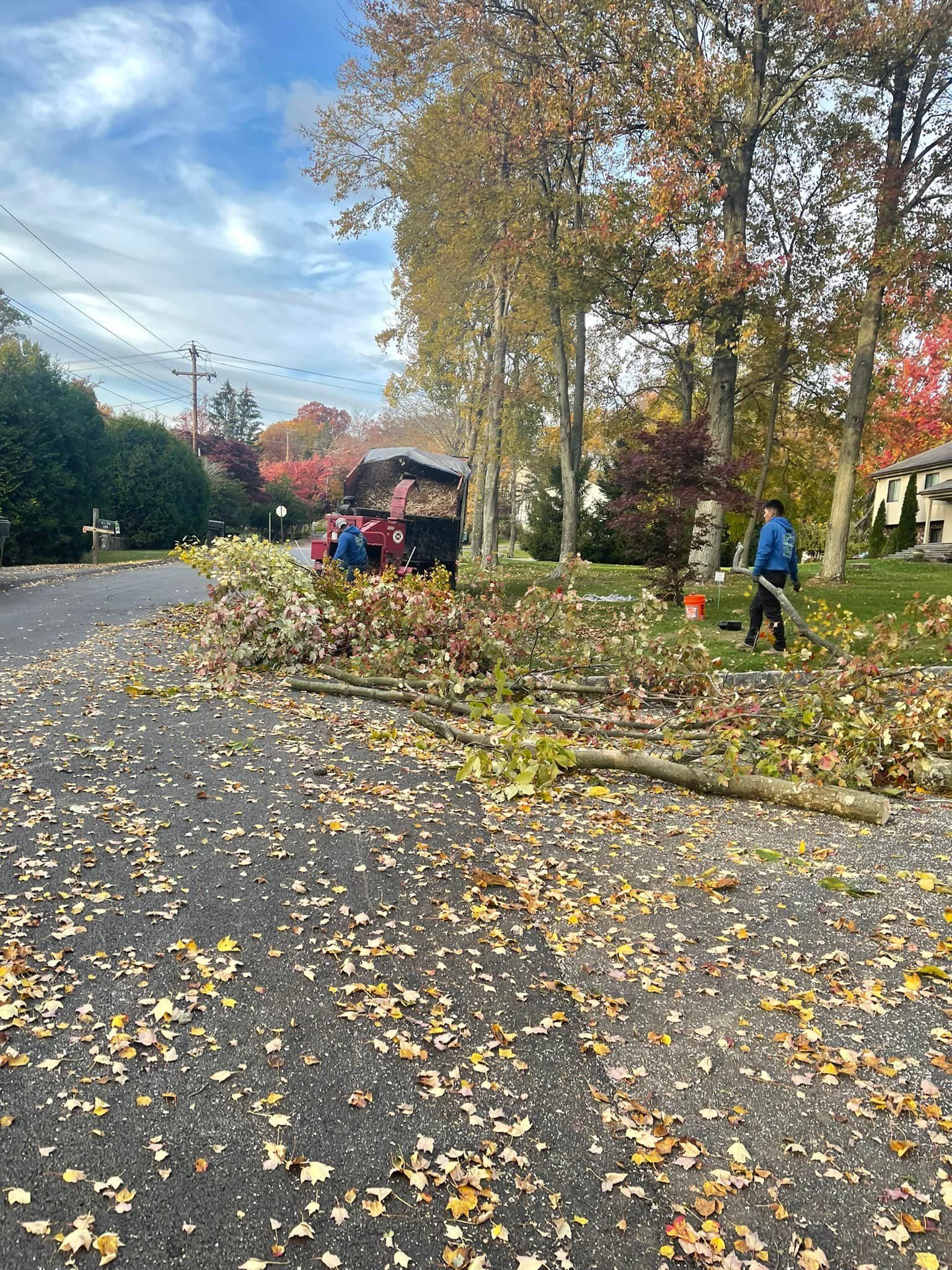 A man is standing next to a pile of leaves on the side of a road.