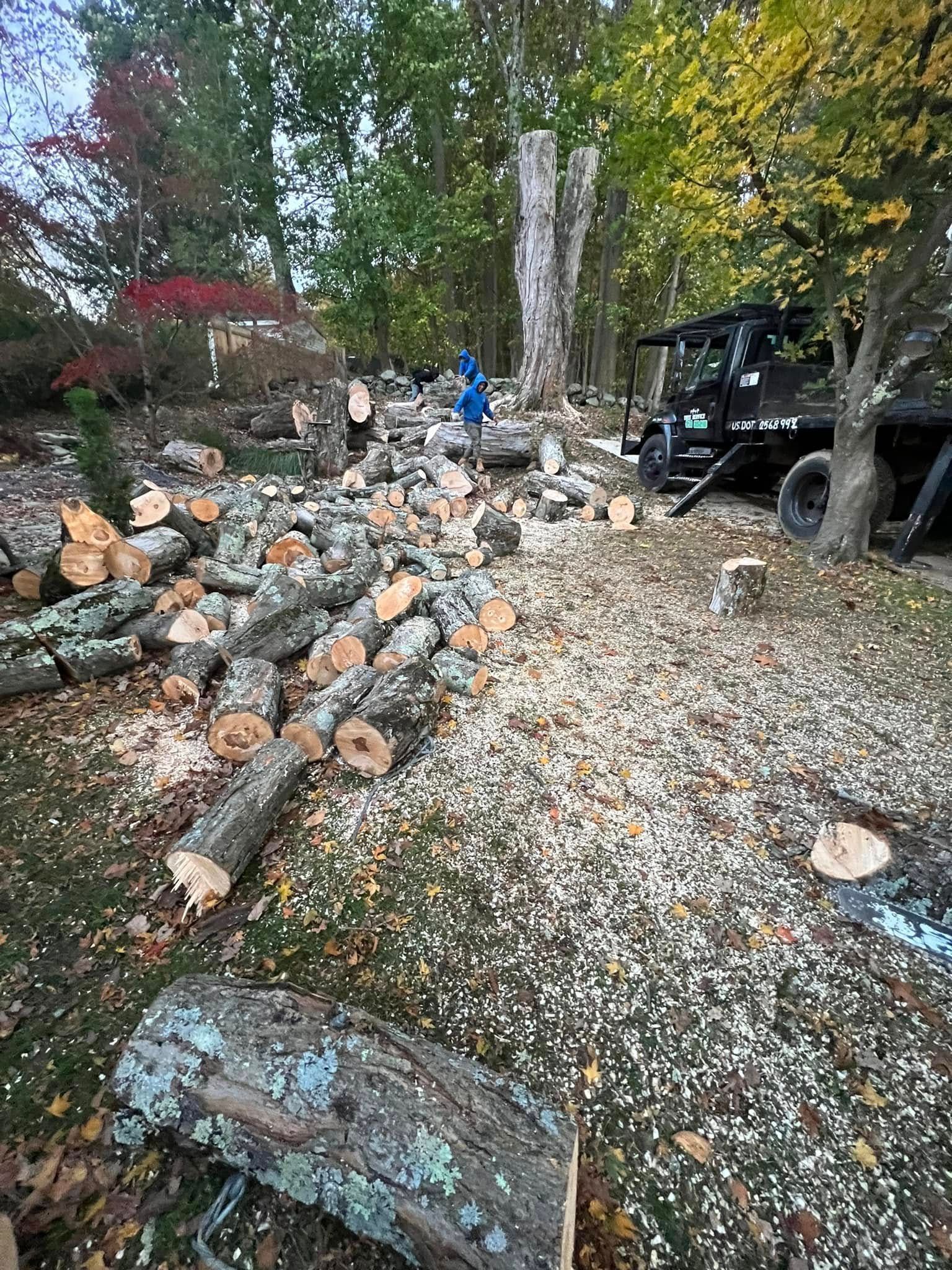 A pile of logs is sitting on the ground in a yard.