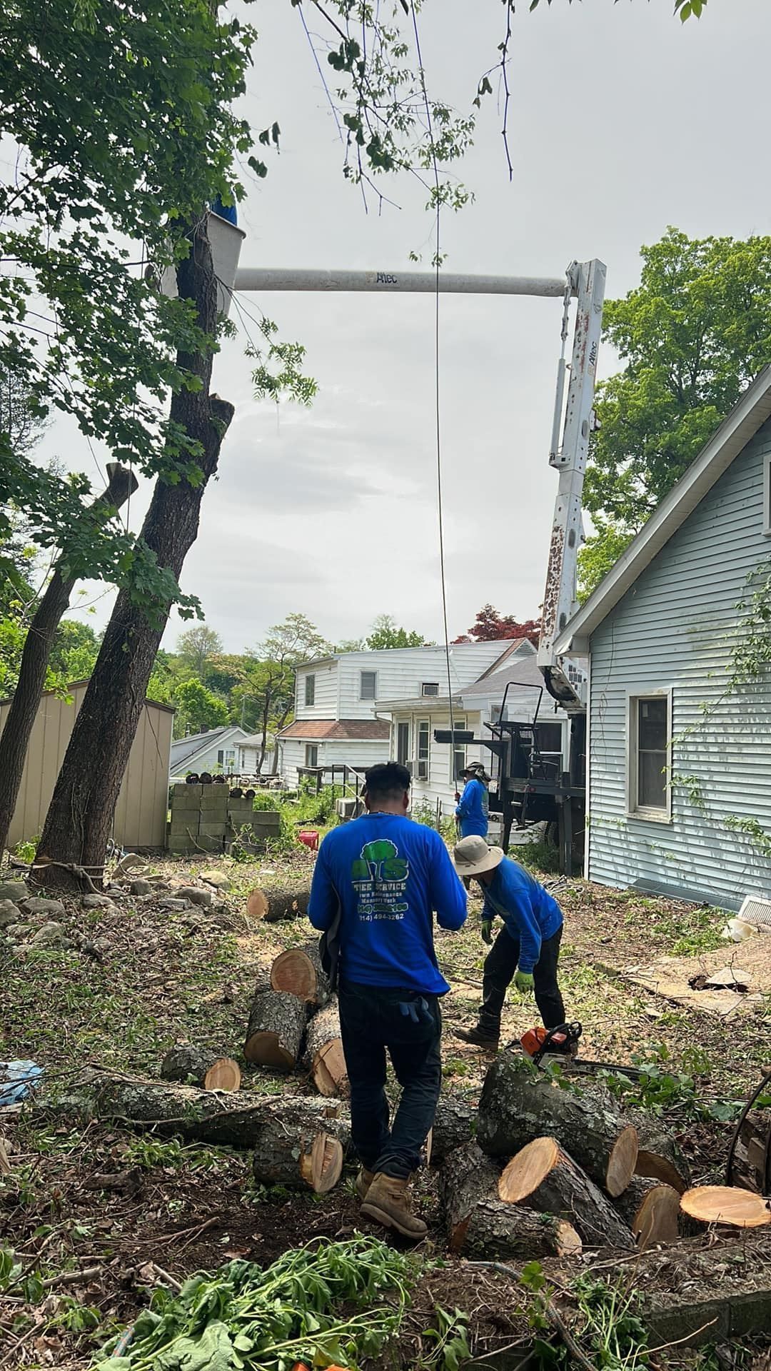 A group of people are working on a tree in front of a house.