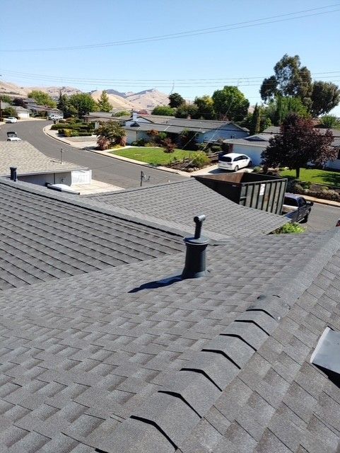 Rooftop view of a suburban street; gray shingles, black vent pipes, and a sunny blue sky.
