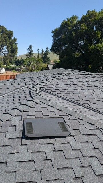 Gray asphalt shingle roof with a skylight, trees, and a blue sky in the background.