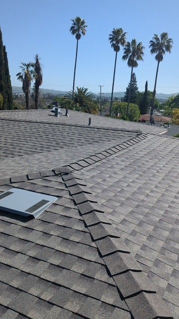 A rooftop with gray shingles, a skylight, and palm trees in the background under a blue sky.